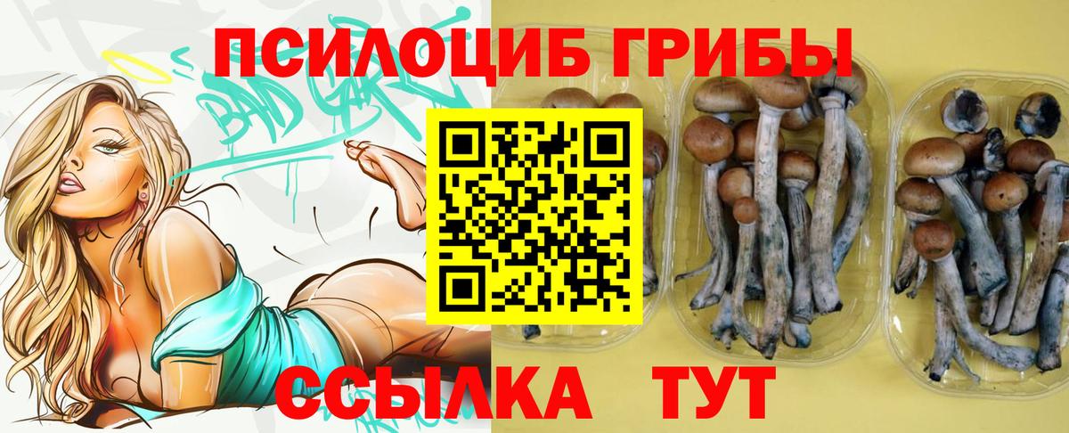 Минусинск  Псилоцибиновые грибы ЛСД  сколько стоит  Вход с VPN 