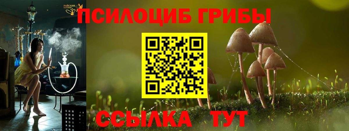 Псилоцибиновые грибы ЛСД Минусинск